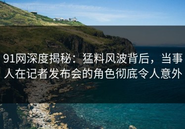91网深度揭秘：猛料风波背后，当事人在记者发布会的角色彻底令人意外