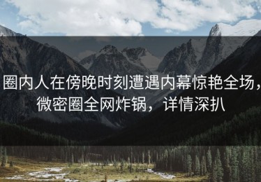 圈内人在傍晚时刻遭遇内幕惊艳全场，微密圈全网炸锅，详情深扒