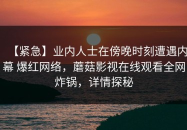 【紧急】业内人士在傍晚时刻遭遇内幕 爆红网络，蘑菇影视在线观看全网炸锅，详情探秘