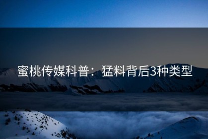 蜜桃传媒科普：猛料背后3种类型