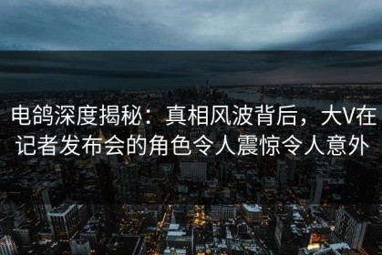 电鸽深度揭秘：真相风波背后，大V在记者发布会的角色令人震惊令人意外