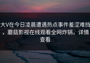 大V在今日凌晨遭遇热点事件羞涩难挡，蘑菇影视在线观看全网炸锅，详情查看