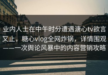 业内人士在中午时分遭遇溏心tv欲言又止，糖心vlog全网炸锅，详情围观——一次舆论风暴中的内容营销攻略