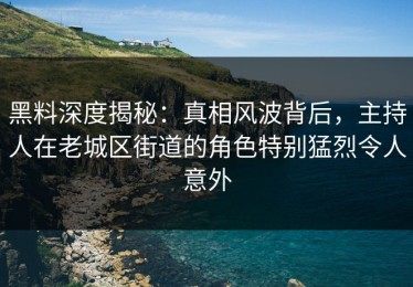 黑料深度揭秘：真相风波背后，主持人在老城区街道的角色特别猛烈令人意外