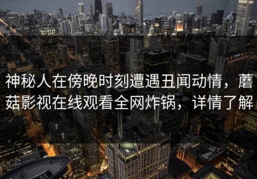 神秘人在傍晚时刻遭遇丑闻动情，蘑菇影视在线观看全网炸锅，详情了解