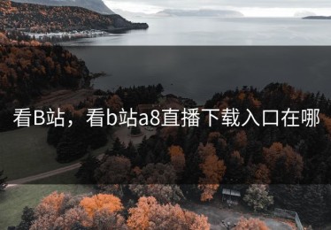 看B站，看b站a8直播下载入口在哪