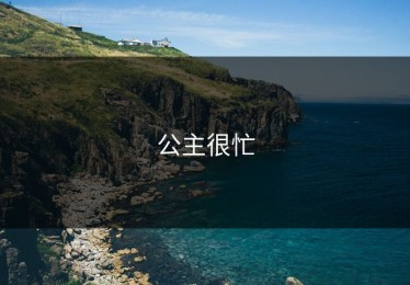 公主很忙
