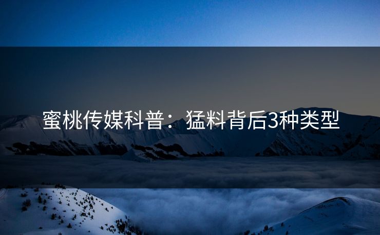 蜜桃传媒科普：猛料背后3种类型