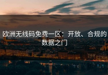 欧洲无线码免费一区：开放、合规的数据之门