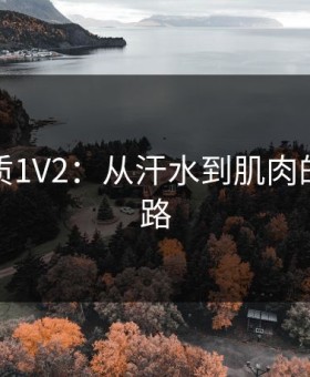 军旅肉质1V2：从汗水到肌肉的升级之路