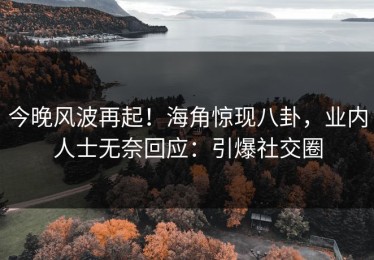 今晚风波再起！海角惊现八卦，业内人士无奈回应：引爆社交圈