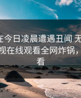 神秘人在今日凌晨遭遇丑闻 无法自持，蘑菇影视在线观看全网炸锅，详情速看