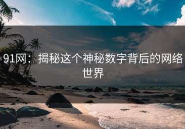 91网：揭秘这个神秘数字背后的网络世界
