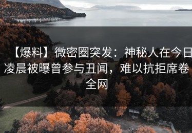 【爆料】微密圈突发：神秘人在今日凌晨被曝曾参与丑闻，难以抗拒席卷全网