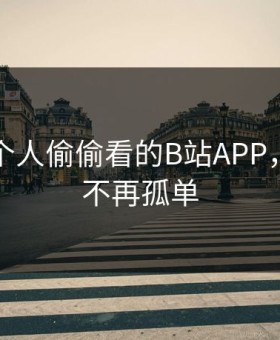 晚上一个人偷偷看的B站APP，让夜晚不再孤单