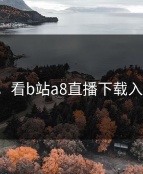 看B站，看b站a8直播下载入口在哪