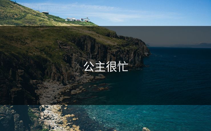 公主很忙
